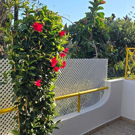 Apartamento Victoria 维拉摩拉 外观 照片